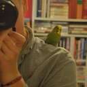 spacebirds